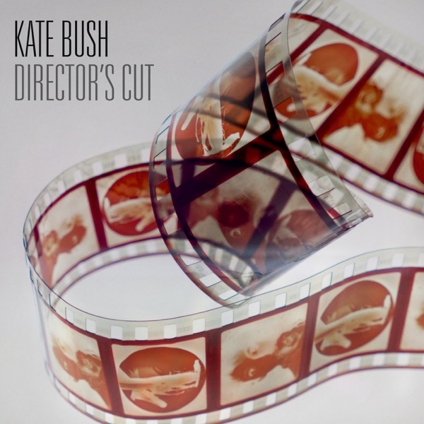 Cover of 'Director's Cut' - Kate Bush